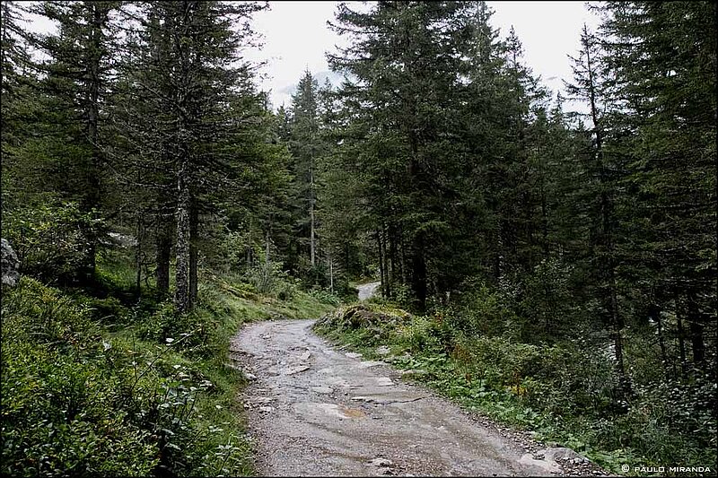 Depois da capela Notre-Dame-de-la-Gorge e a caminho do Refúgio Nant Borrant, a TMB percorre uma estrada romana.