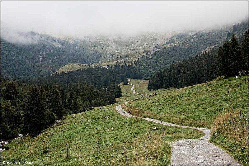 Pouco depois do refúgio, a TMB entra na Reserva Natural de Contamines-Montjoie.