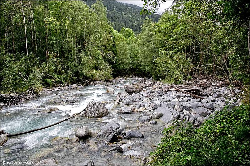 Às margens do Bon Nant, um pouco antes de Contamines-Montjoie.