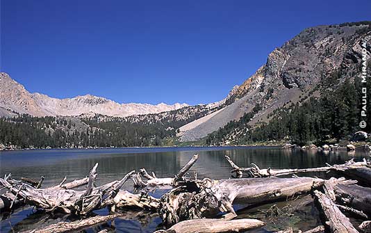 8º dia - 21/08 - km 116,5 (norte-sul) - Às margens do Lago Purple (altitude: 3.017 metros) conhecemos Gregg Aiello, outro companheiro de andança pelos próximos 2 dias - Floresta Nacional Sierra/John Muir Wilderness.
