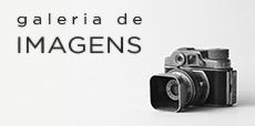 Acesso ao site sobre fotografia e viagem de Paulo Miranda.